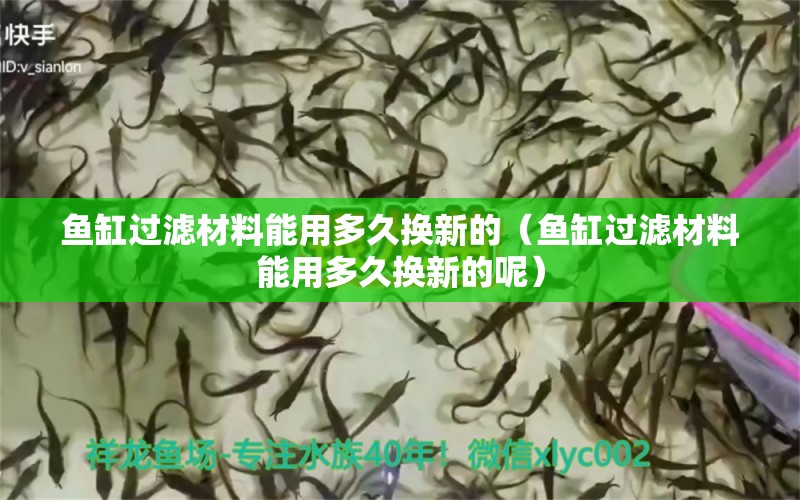 鱼缸过滤材料能用多久换新的（鱼缸过滤材料能用多久换新的呢）