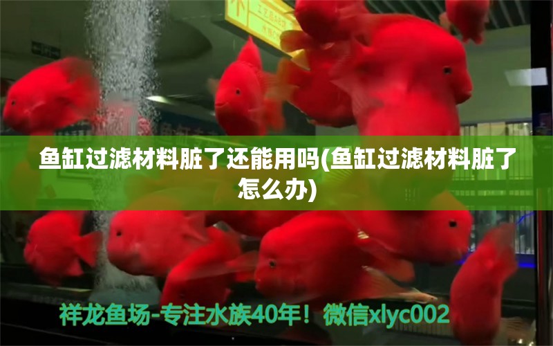 鱼缸过滤材料脏了还能用吗(鱼缸过滤材料脏了怎么办) 祥龙水族护理水