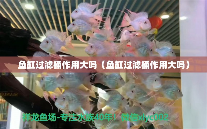 鱼缸过滤桶作用大吗（鱼缸过滤桶作用大吗） 祥龙水族医院