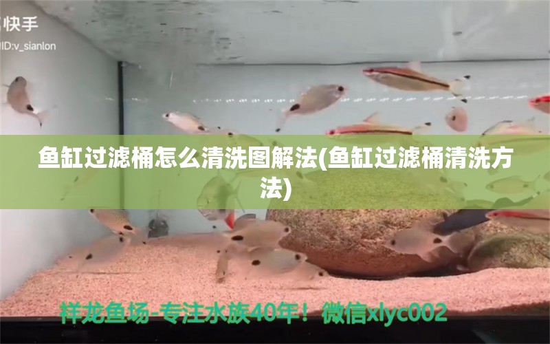 鱼缸过滤桶怎么清洗图解法(鱼缸过滤桶清洗方法) 鱼缸水质稳定剂