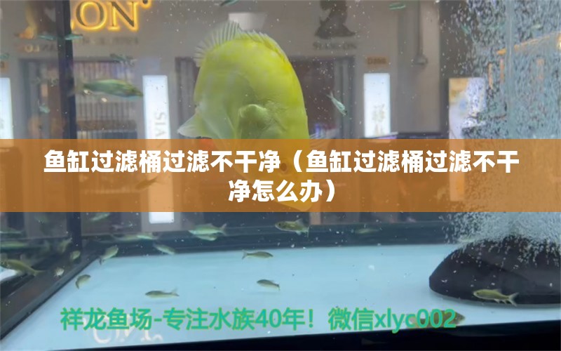 鱼缸过滤桶过滤不干净（鱼缸过滤桶过滤不干净怎么办） 观赏鱼