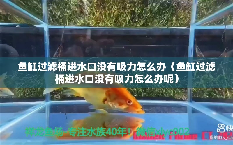 鱼缸过滤桶进水口没有吸力怎么办（鱼缸过滤桶进水口没有吸力怎么办呢） 祥龙水族医院