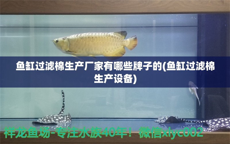 鱼缸过滤棉生产厂家有哪些牌子的(鱼缸过滤棉生产设备)