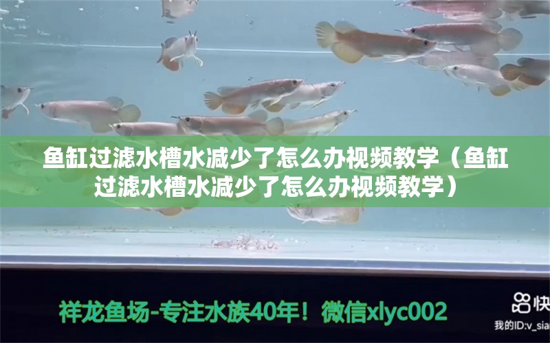 鱼缸过滤水槽水减少了怎么办视频教学（鱼缸过滤水槽水减少了怎么办视频教学）