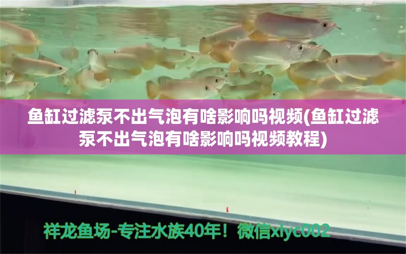 鱼缸过滤泵不出气泡有啥影响吗视频(鱼缸过滤泵不出气泡有啥影响吗视频教程) 水温计 第1张