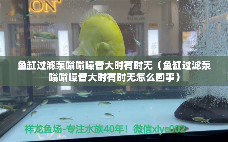 鱼缸过滤泵嗡嗡噪音大时有时无（鱼缸过滤泵嗡嗡噪音大时有时无怎么回事）