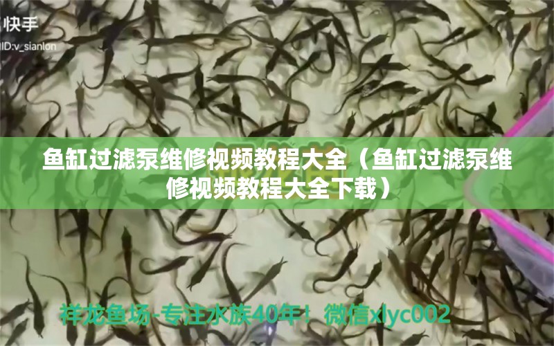 鱼缸过滤泵维修视频教程大全（鱼缸过滤泵维修视频教程大全下载） 其他品牌鱼缸