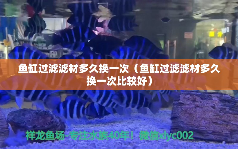 鱼缸过滤滤材多久换一次（鱼缸过滤滤材多久换一次比较好）