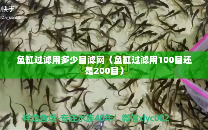 鱼缸过滤用多少目滤网（鱼缸过滤用100目还是200目） 马来西亚燕窝