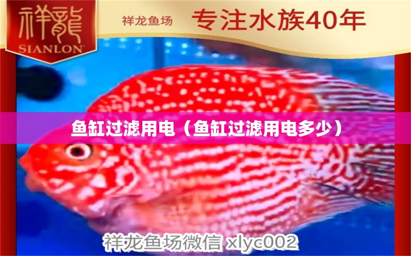 鱼缸过滤用电（鱼缸过滤用电多少） 其他品牌鱼缸