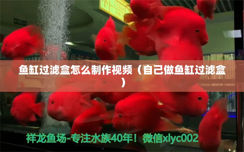 鱼缸过滤盒怎么制作视频（自己做鱼缸过滤盒） 其他品牌鱼缸 第1张