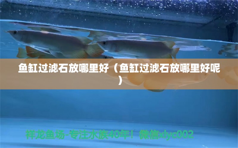 鱼缸过滤石放哪里好（鱼缸过滤石放哪里好呢） 祥龙水族医院