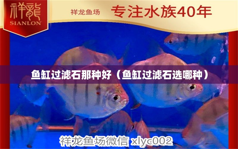 鱼缸过滤石那种好（鱼缸过滤石选哪种） 祥龙水族医院