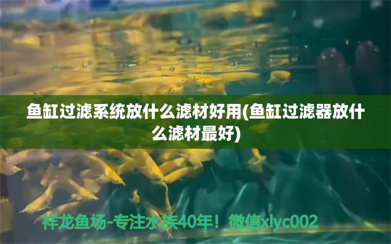 鱼缸过滤系统放什么滤材好用(鱼缸过滤器放什么滤材最好) 福虎/异型虎鱼/纯色虎鱼 第1张