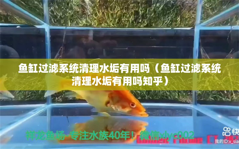 鱼缸过滤系统清理水垢有用吗（鱼缸过滤系统清理水垢有用吗知乎） 其他品牌鱼缸