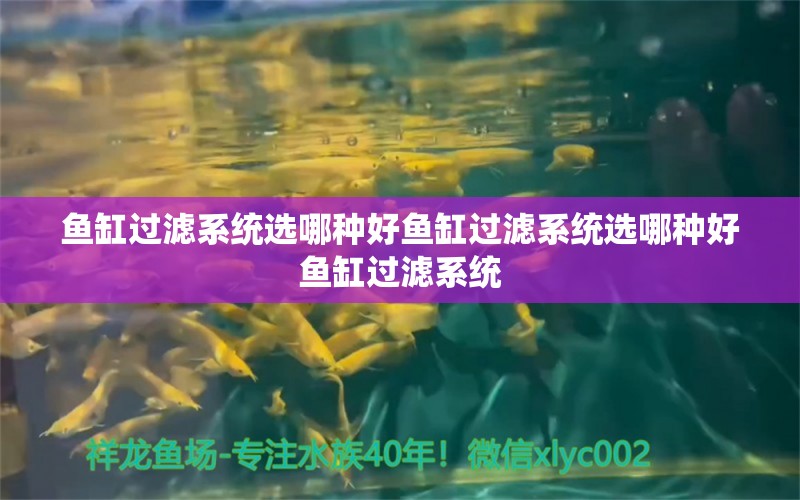 鱼缸过滤系统选哪种好鱼缸过滤系统选哪种好鱼缸过滤系统