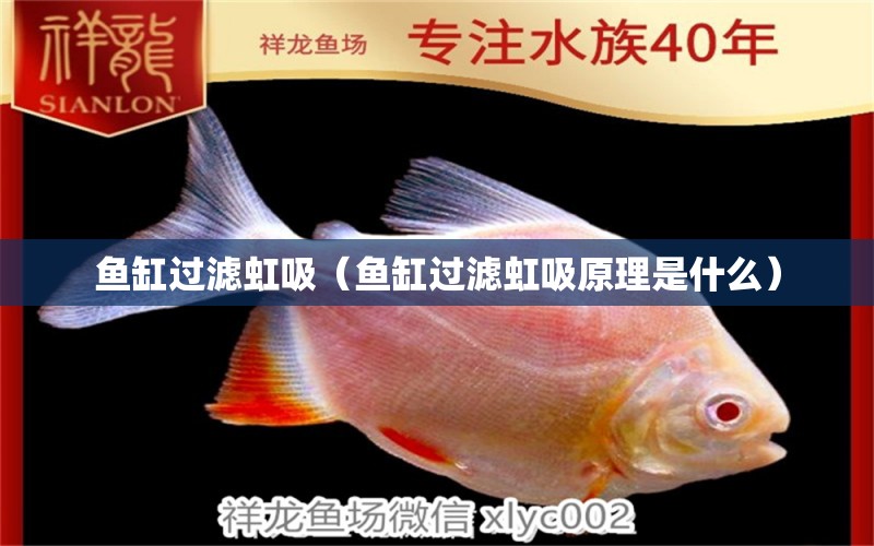 鱼缸过滤虹吸（鱼缸过滤虹吸原理是什么） 祥龙水族医院