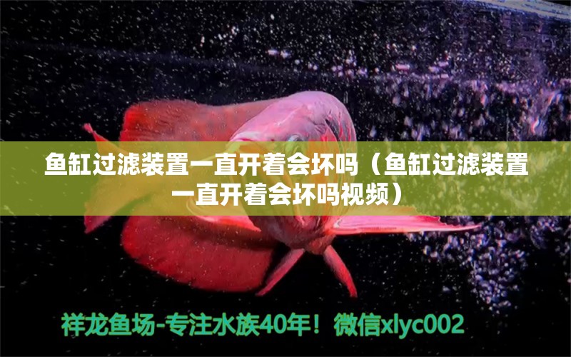 鱼缸过滤装置一直开着会坏吗（鱼缸过滤装置一直开着会坏吗视频）