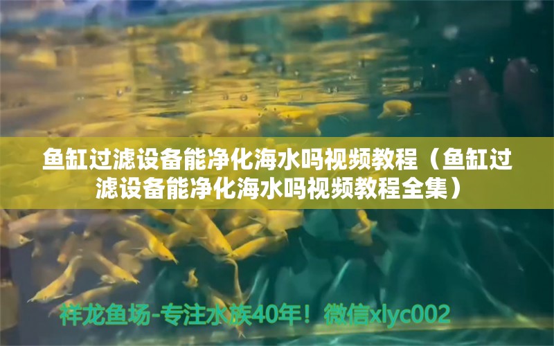 鱼缸过滤设备能净化海水吗视频教程（鱼缸过滤设备能净化海水吗视频教程全集） 过滤设备