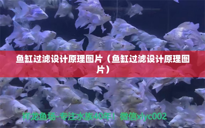 鱼缸过滤设计原理图片（鱼缸过滤设计原理图片） 祥龙龙鱼专用水族灯