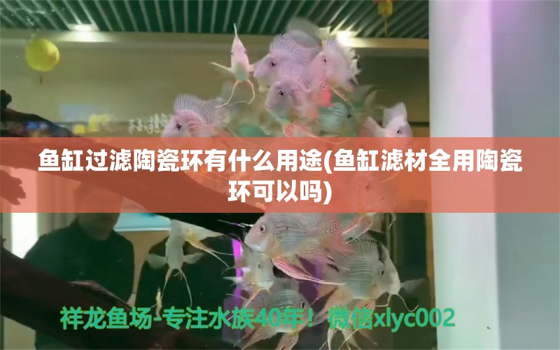 鱼缸过滤陶瓷环有什么用途(鱼缸滤材全用陶瓷环可以吗) 祥龙鱼场