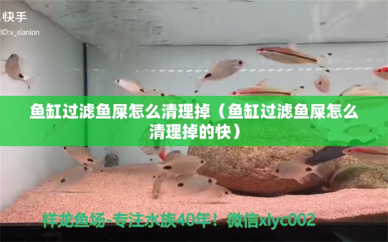 鱼缸过滤鱼屎怎么清理掉（鱼缸过滤鱼屎怎么清理掉的快） 其他品牌鱼缸