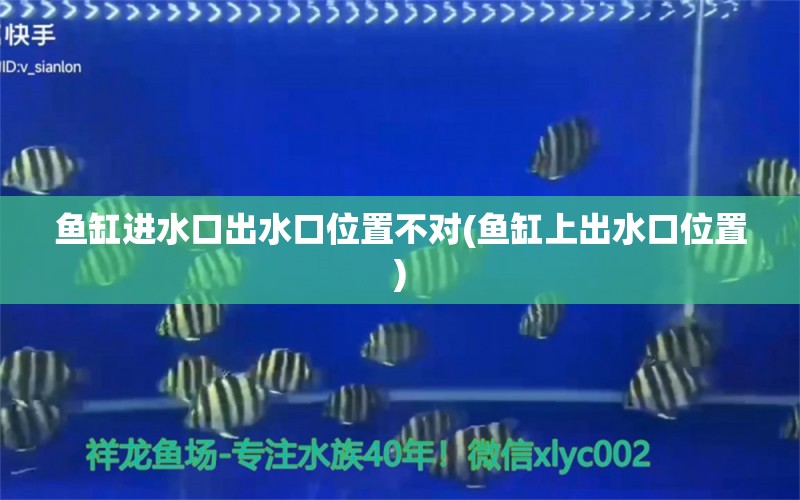 鱼缸进水口出水口位置不对(鱼缸上出水口位置) 红头利鱼