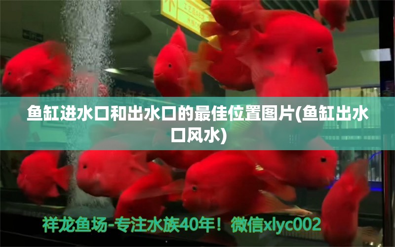 鱼缸进水口和出水口的最佳位置图片(鱼缸出水口风水) 鱼缸风水 第1张