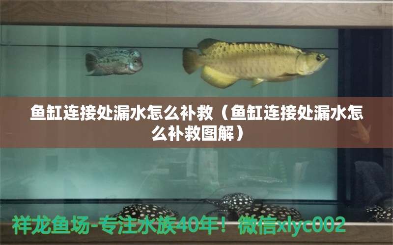 鱼缸连接处漏水怎么补救（鱼缸连接处漏水怎么补救图解） 稀有金龙鱼