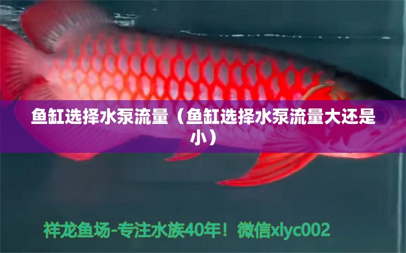 鱼缸选择水泵流量（鱼缸选择水泵流量大还是小）