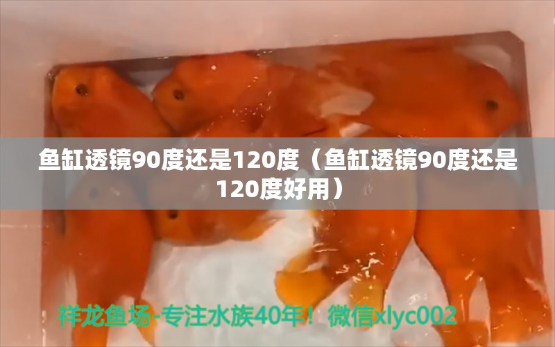 鱼缸透镜90度还是120度（鱼缸透镜90度还是120度好用）