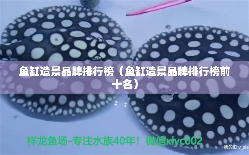 鱼缸造景品牌排行榜（鱼缸造景品牌排行榜前十名） 祥龙水族医院