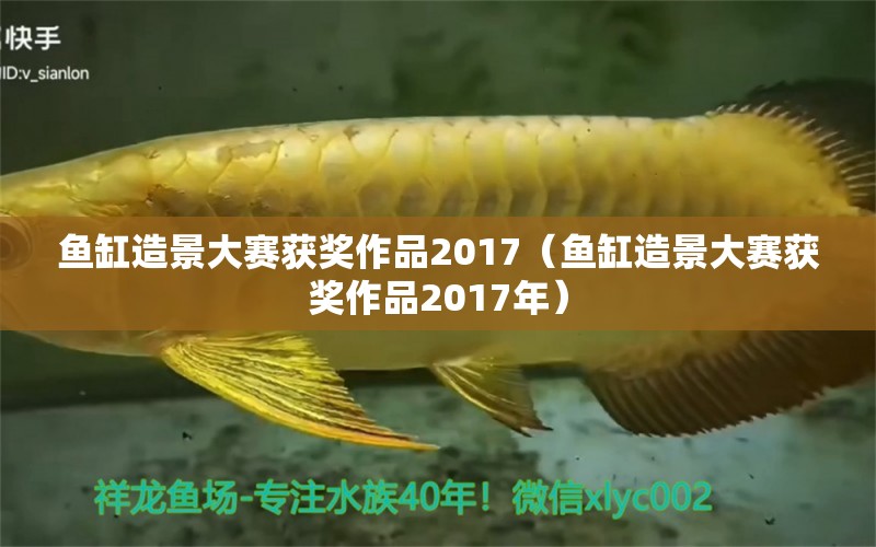 鱼缸造景大赛获奖作品2017（鱼缸造景大赛获奖作品2017年）