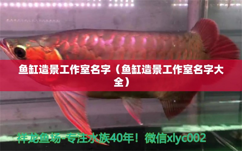 鱼缸造景工作室名字（鱼缸造景工作室名字大全） 祥龙水族医院