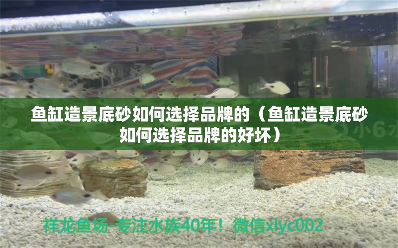 鱼缸造景底砂如何选择品牌的（鱼缸造景底砂如何选择品牌的好坏）