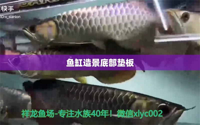 鱼缸造景底部垫板 水族问答 第1张