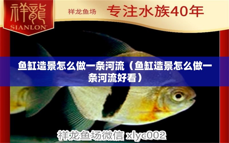 鱼缸造景怎么做一条河流（鱼缸造景怎么做一条河流好看） 祥龙水族医院