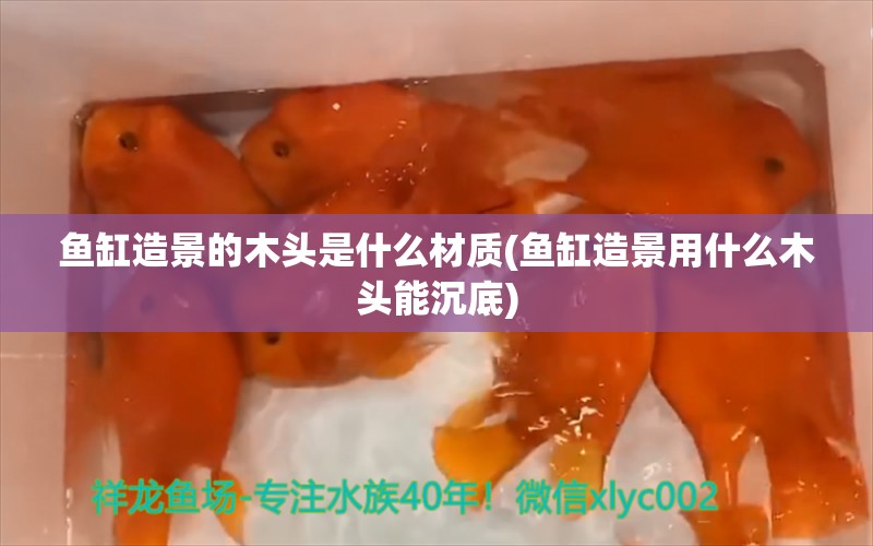 鱼缸造景的木头是什么材质(鱼缸造景用什么木头能沉底) 三色锦鲤鱼 第1张