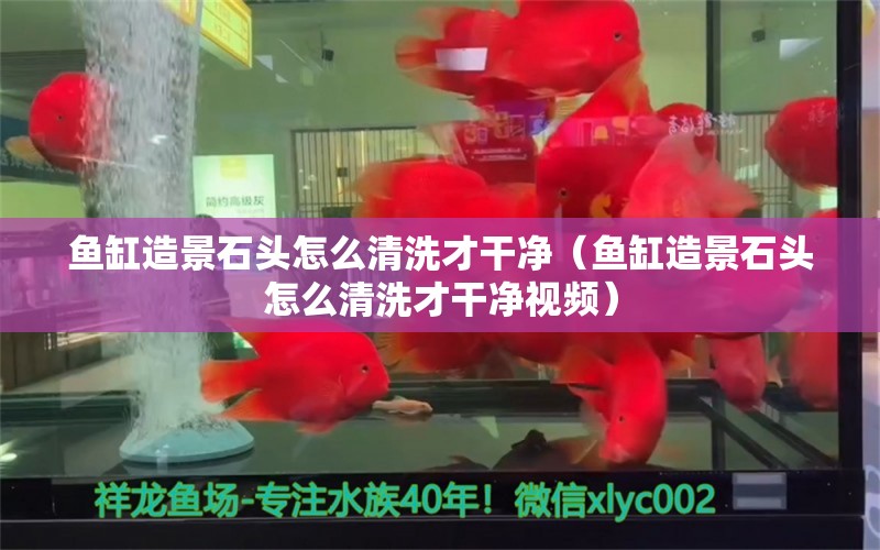 鱼缸造景石头怎么清洗才干净（鱼缸造景石头怎么清洗才干净视频）