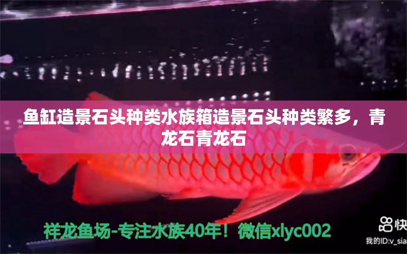 鱼缸造景石头种类水族箱造景石头种类繁多，青龙石青龙石 鱼缸/水族箱