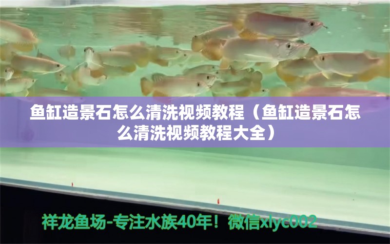 鱼缸造景石怎么清洗视频教程（鱼缸造景石怎么清洗视频教程大全）