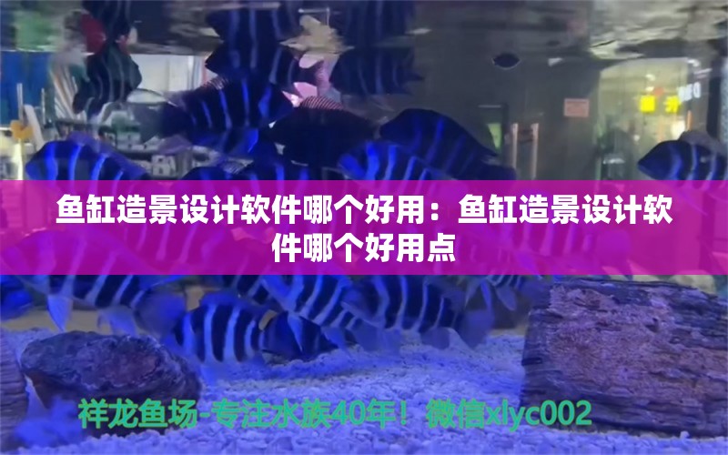 鱼缸造景设计软件哪个好用：鱼缸造景设计软件哪个好用点 观赏鱼市场（混养鱼）