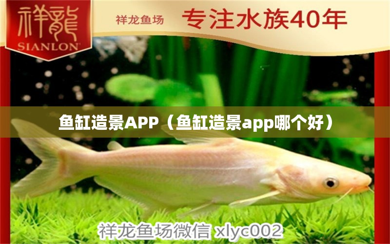 鱼缸造景APP（鱼缸造景app哪个好） 观赏鱼市场（混养鱼）