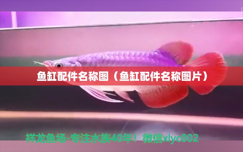 鱼缸配件名称图（鱼缸配件名称图片） 祥龙水族医院