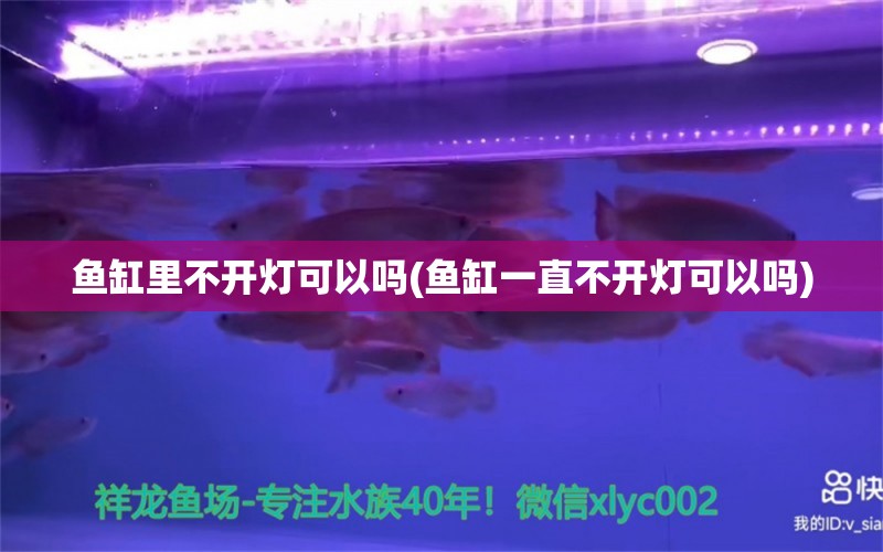 鱼缸里不开灯可以吗(鱼缸一直不开灯可以吗) 鱼缸清洁用具