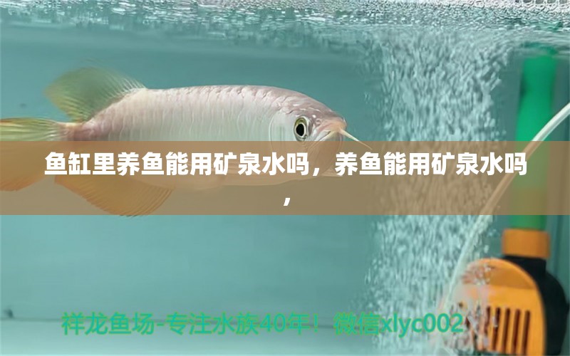 鱼缸里养鱼能用矿泉水吗，养鱼能用矿泉水吗， 养鱼知识