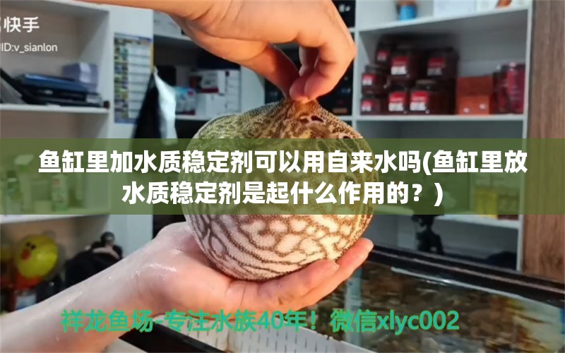 鱼缸里加水质稳定剂可以用自来水吗(鱼缸里放水质稳定剂是起什么作用的？)