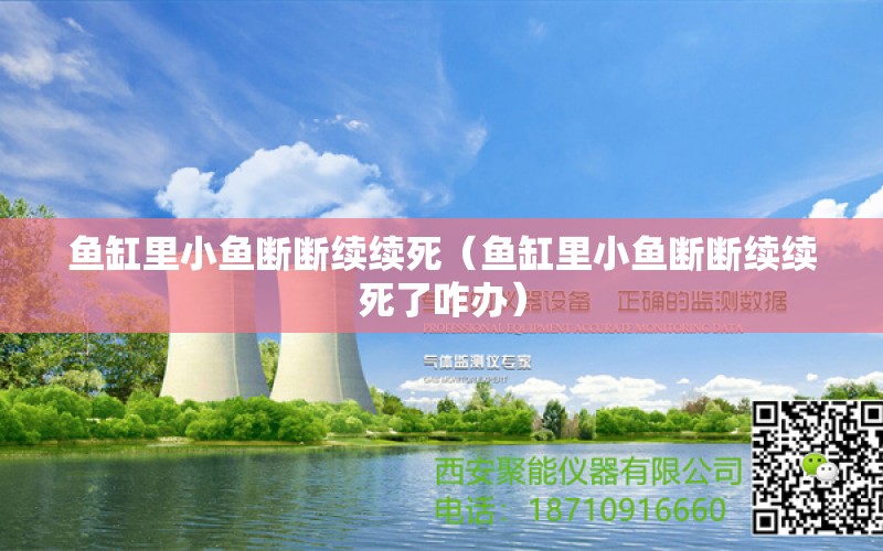 鱼缸里小鱼断断续续死（鱼缸里小鱼断断续续死了咋办） 其他品牌鱼缸