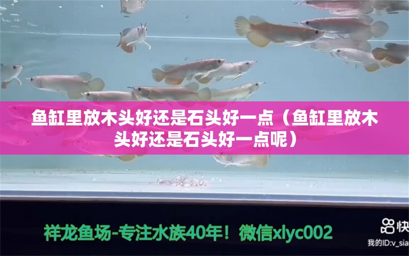 鱼缸里放木头好还是石头好一点（鱼缸里放木头好还是石头好一点呢） 其他品牌鱼缸