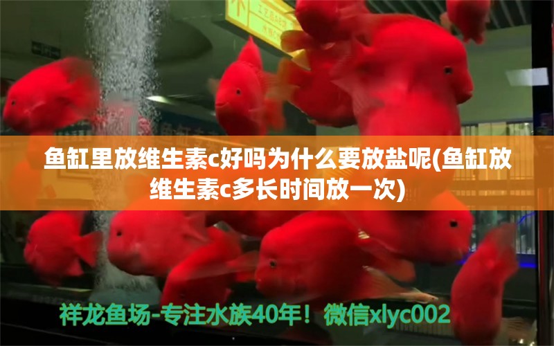 鱼缸里放维生素c好吗为什么要放盐呢(鱼缸放维生素c多长时间放一次)